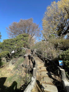 鳩森八幡神社《東京・千駄ヶ谷》
