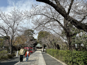 松陰神社《東京・世田谷若林》