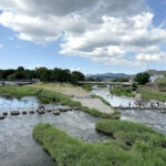 鴨川デルタ《京都・下鴨》