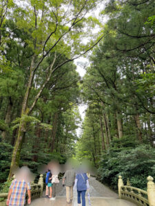 弥彦神社《新潟・弥彦村》