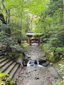 弥彦神社《新潟・弥彦村》
