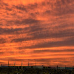 三協フロンテア柏スタジアム《千葉・日立台》