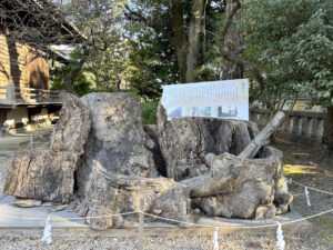 布多天神社《東京・調布》