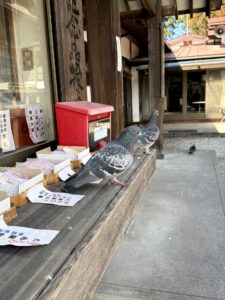 報徳二宮神社《栃木・今市》