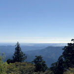秋葉神社《静岡・浜松》