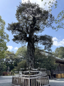 井伊谷宮《静岡・井伊谷》