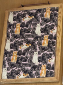 飲食笑商何屋ねこ膳《東京・新宿三丁目》