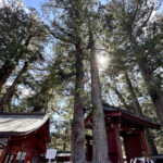 夫婦杉《栃木・日光二荒山神社》