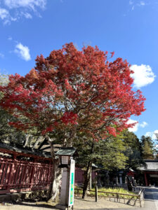 志波彦神社・鹽竈神社《宮城・塩釜》