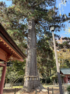 志波彦神社・鹽竈神社《宮城・塩釜》