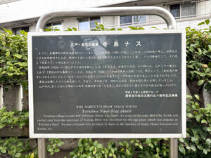 白鬚神社《東京・東向島》