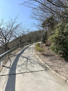 高屋神社《香川・観音寺市》