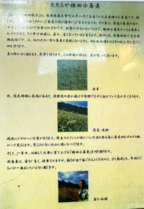 出雲そば たたらや《島根・松江》