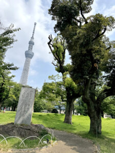 隅田公園《東京・向島》