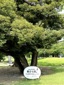 隅田公園《東京・向島》