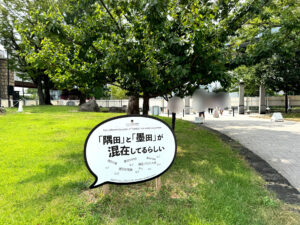 隅田公園《東京・向島》