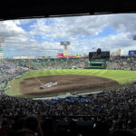 阪神甲子園球場《兵庫・甲子園》