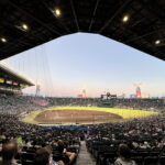 阪神甲子園球場《兵庫・甲子園》