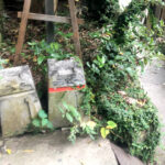 猫の細道《広島・尾道》